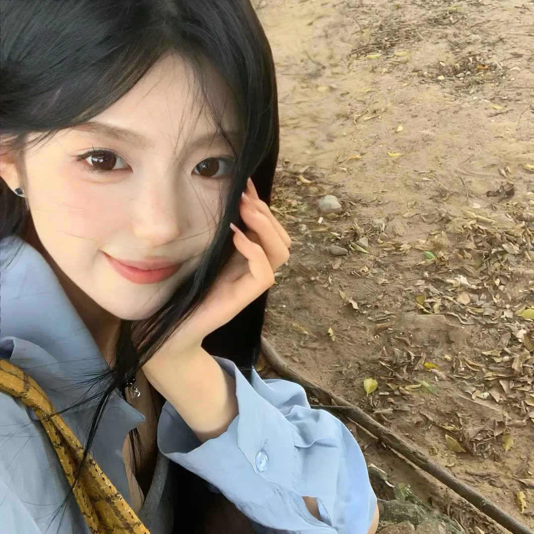 帝王蝶之子